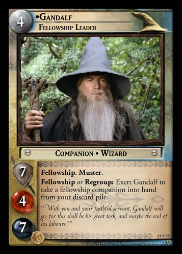 21S78 Gandalf, Fellowship Leader